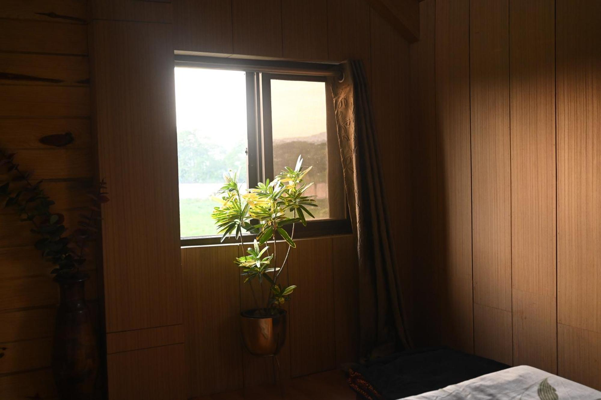 古瓦哈提The Cabin By The Bayou住宿加早餐旅馆 外观 照片